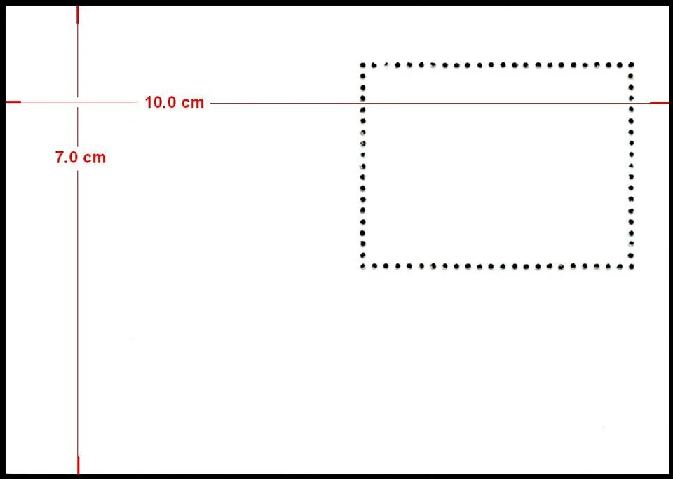 2540+47+2556+2565 BRASIL 1995 TODAS LAS HOJAS DE RECUERDO DEL AÑO SV $30,50 TODO MNH Foto 3 de 4