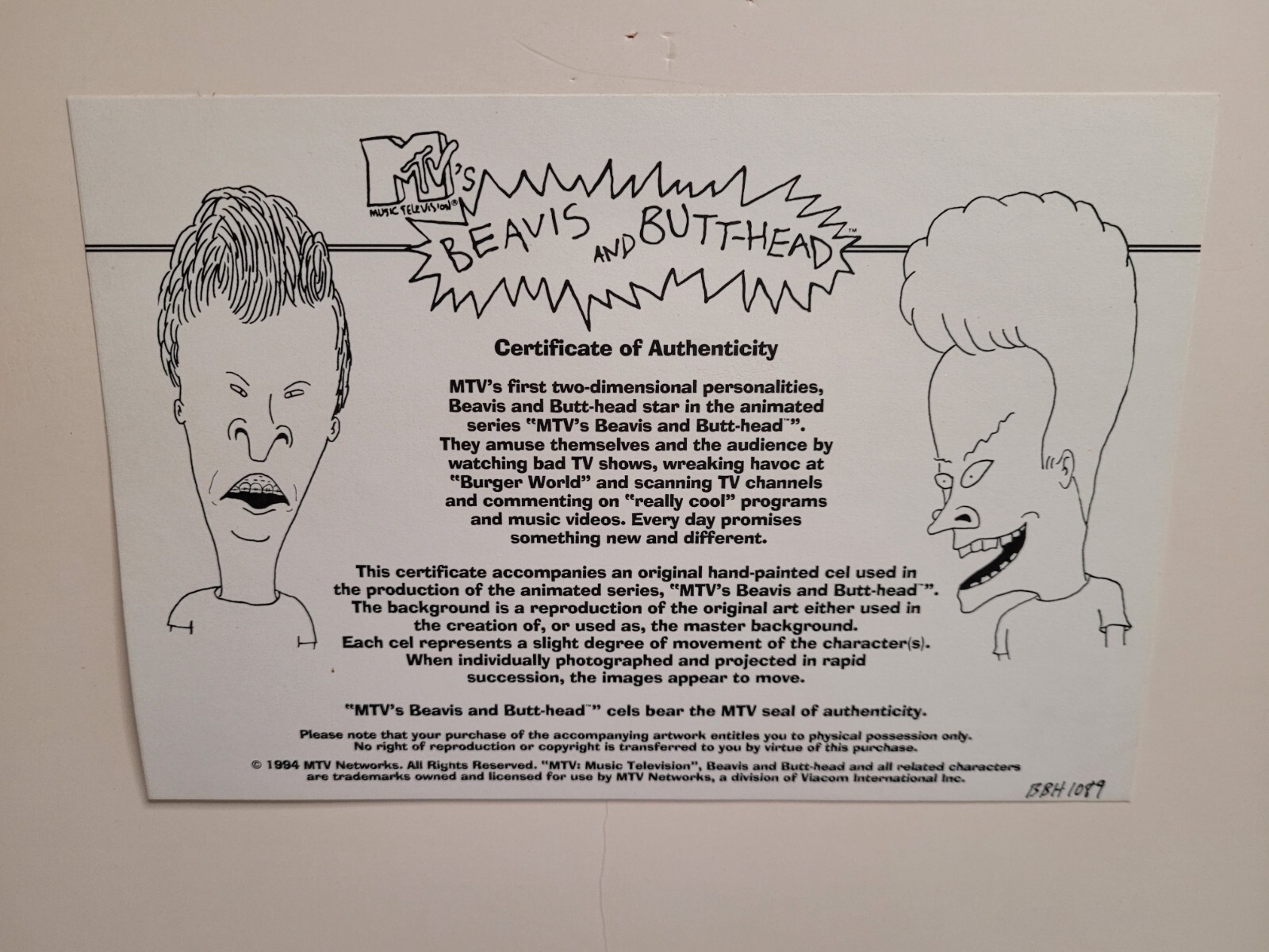 Picture 5 of 24