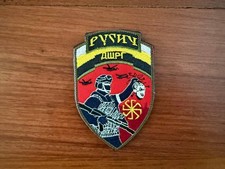 Russian DSHRG Rusich Sabotage Group - Military Patch