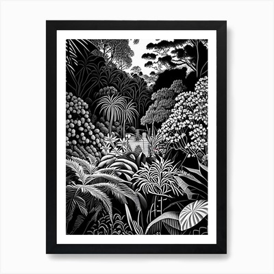 Adelaide Botanic Garden, 2, Austral gerahmtes Wandbild Poster Leinwanddruck Bild