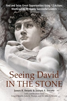 SEEING DAVID IN THE STONE By James B. Swartz & Joseph E. Swartz - Hardcover NEW