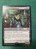 2024 Ancient Cellarspawn - Commander: Duskmourn: House of Horror - NM  -  MTG