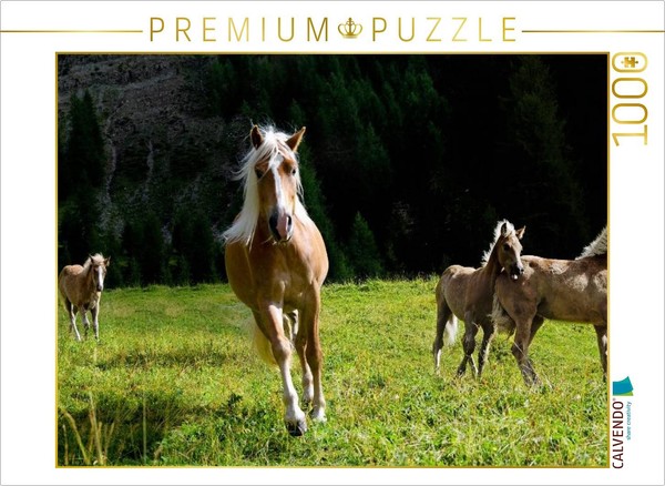Calvendo Puzzle Haflinger In The Pasture | 1000 Pieces, Finished Size 25.2 × 18.-image
