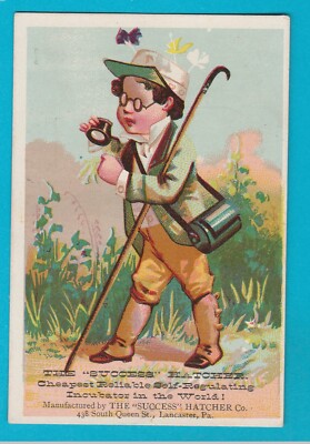 AMERICANA - WERBUNG - DER ''ERFOLGS''-BRÜTER - UM 1900