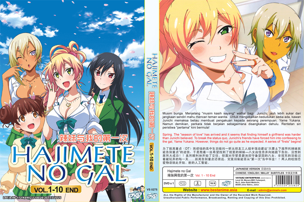 DVD ANIME Hajimete No Gal Vol.1-10 End All Region ~ENGLISH DUBBED~