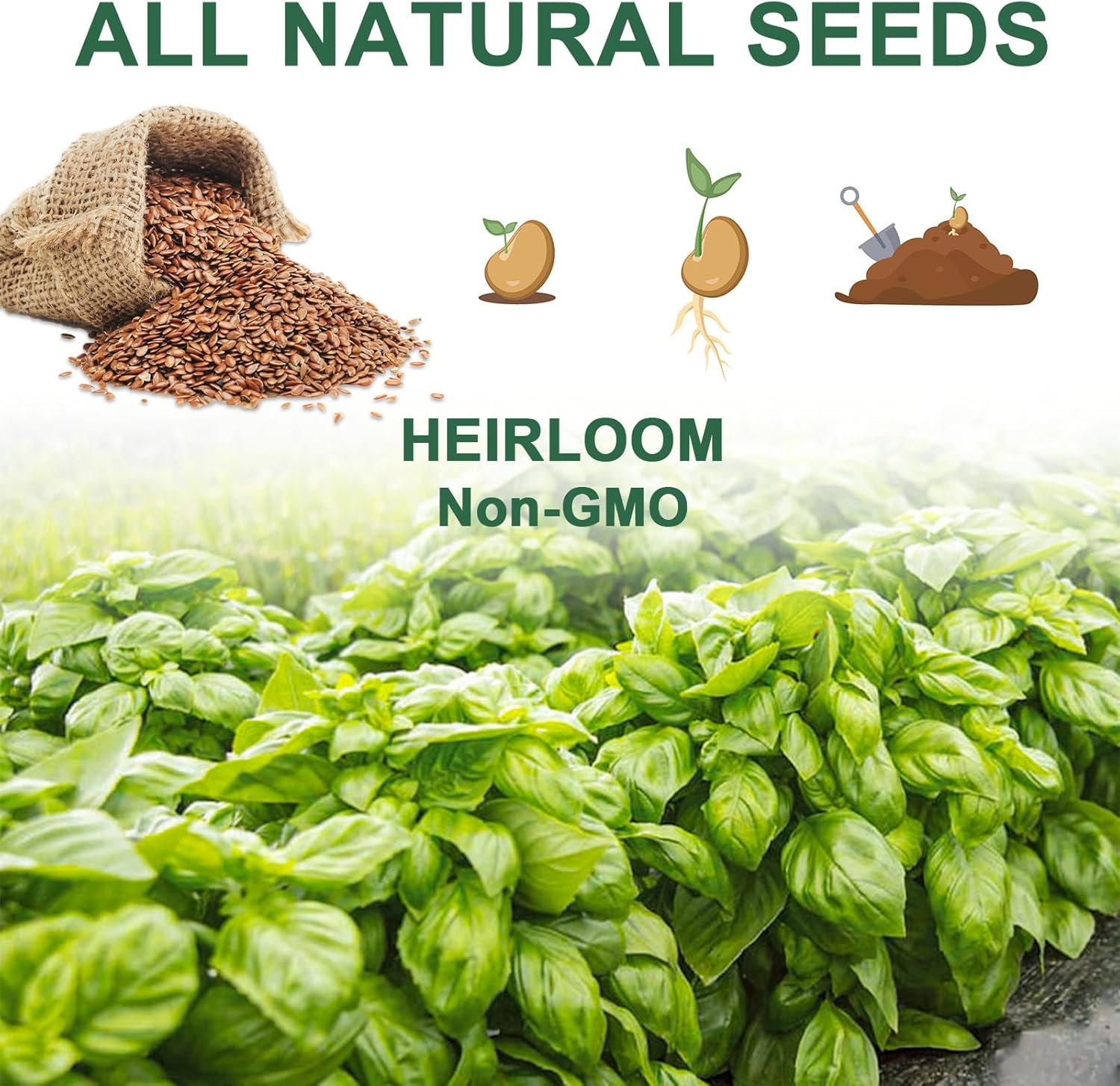 14 Pods Gourmet Herb Seed Pod Kit for Aerogarden, with Basil, Parsley, Thyme