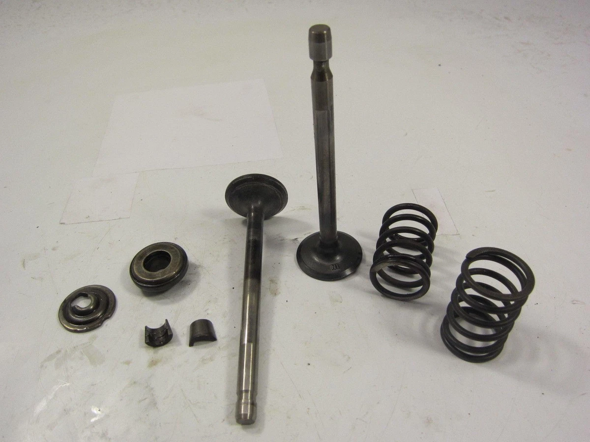 Briggs & Stratton 8.5HP I/C 196707 Valve set 691794 | eBay