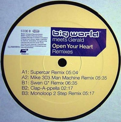 Big World Meets Gerald - Open Your Heart (Remix 12'' Vinyl Electronic House 33850