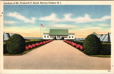 Postcard Gardens of Mr Frederick P Small Harvey Cedars New Jersey Linen 1955