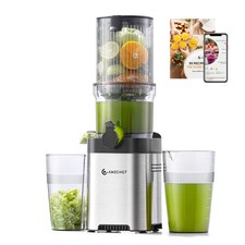 Cold Press Juicer Machines Slow Juicers with 126 MM Large Feed Chute for Whole