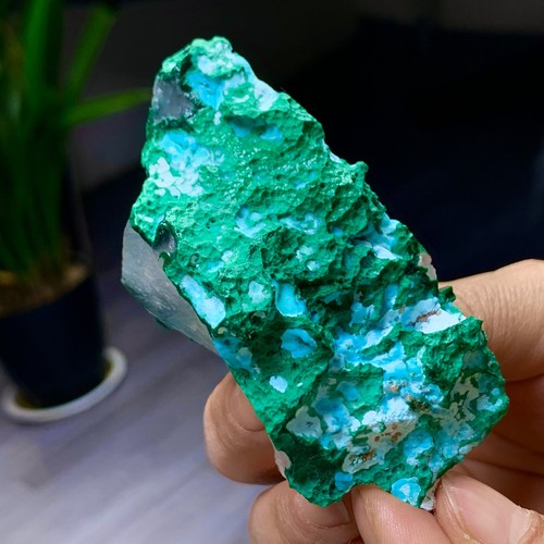 146GNatural malachite with gypsum Symbiotic mineral specimen - 第 10/24 張圖片