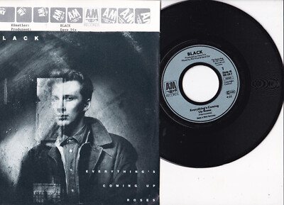 Black -Everything's Coming Up Roses / Ravel In The Rain- 7'' 45 + Promo-Flyer