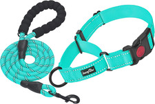 2 Packs Martingale Dog Collar with Quick Release Buckle Reflective Dog Training