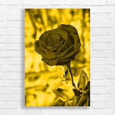 Vibrant Red Rose Canvas Print Large Picture Wall Art