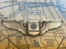 BellSouth Corporate Flight Division - Pilot Wing