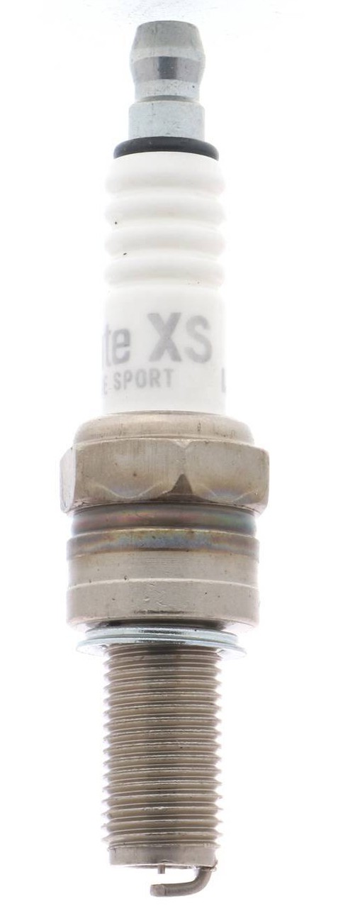 Autolite XS4302 Iridium Xtreme Powersports Spark Plug