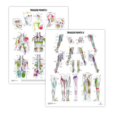 2 PACK Trigger Points I & II Poster Set, LAMINATED, Anatomy and Physiology Po...