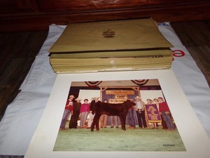 Vintage  Scrapbook Photos letters state fair Texas  advertising cows Donkeys