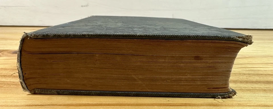 The Keeper of the Bees by Gene Stratton-Porter 1925 *1st Edition* Book Doubleday Foto 2 de 4