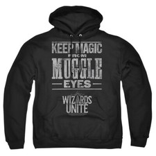 Harry Potter "Hidden Magic" Pullover Hoodie, Sweatshirt, Long Sleeve T-Shirt