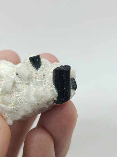 15g Natural Black Tourmaline Crystals Mineral Specimen - Picture 6 of 14