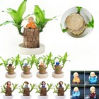 Brazilian Wood Lucky Plant Brazil Wood Potted Plant w/Tray Monk Desktop Decor