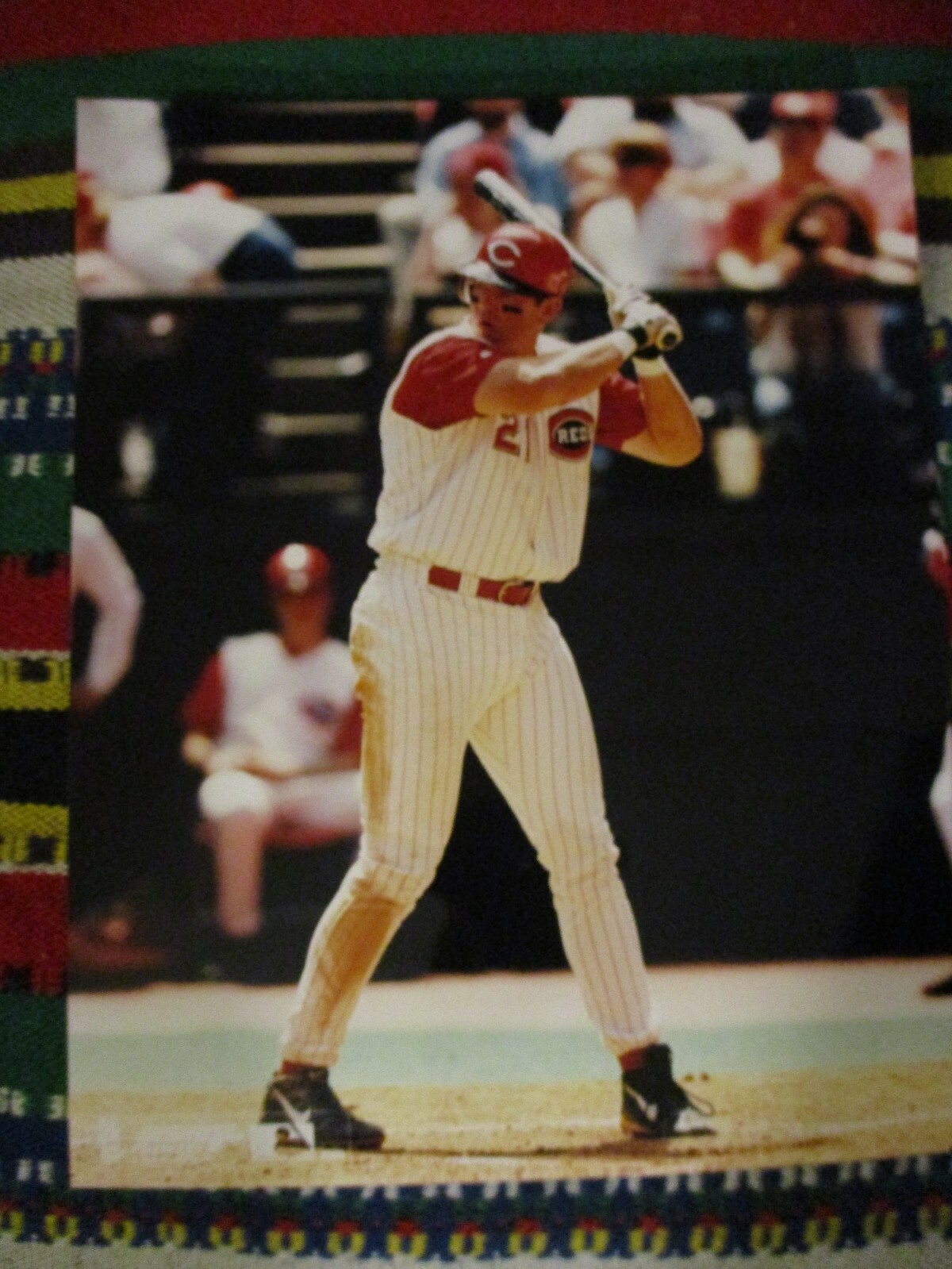 Older CINCINNATI REDS Sean Casey Color 8 x10 Photo #2