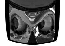 Chrome Skull Bloodshot Eyes Greyscale Truck Hood Wrap Vinyl Car Graphic Decal 