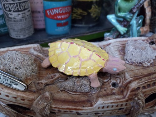 Vintage Old Aquarium Fishbowl Ceramic Bisque Blue Eye Albino 2 Headed Turtle - Picture 4 of 8