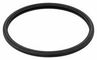Elring Dichtung, Thermostat 847.230