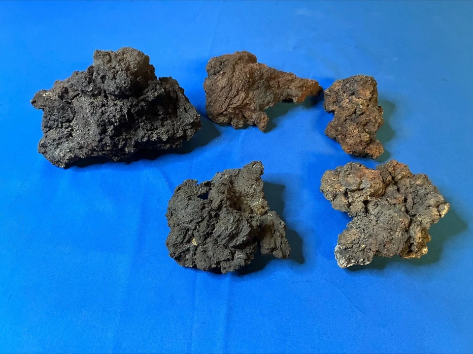 Terrario de piedra de lava para acuario 5 piezas 6 libras Foto 2 de 4