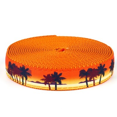 Country Brook Design  3/4 Inch Caribbean Sunset on Orange Nylon Webbing, 5 Yards