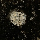 Foto 5 di 9