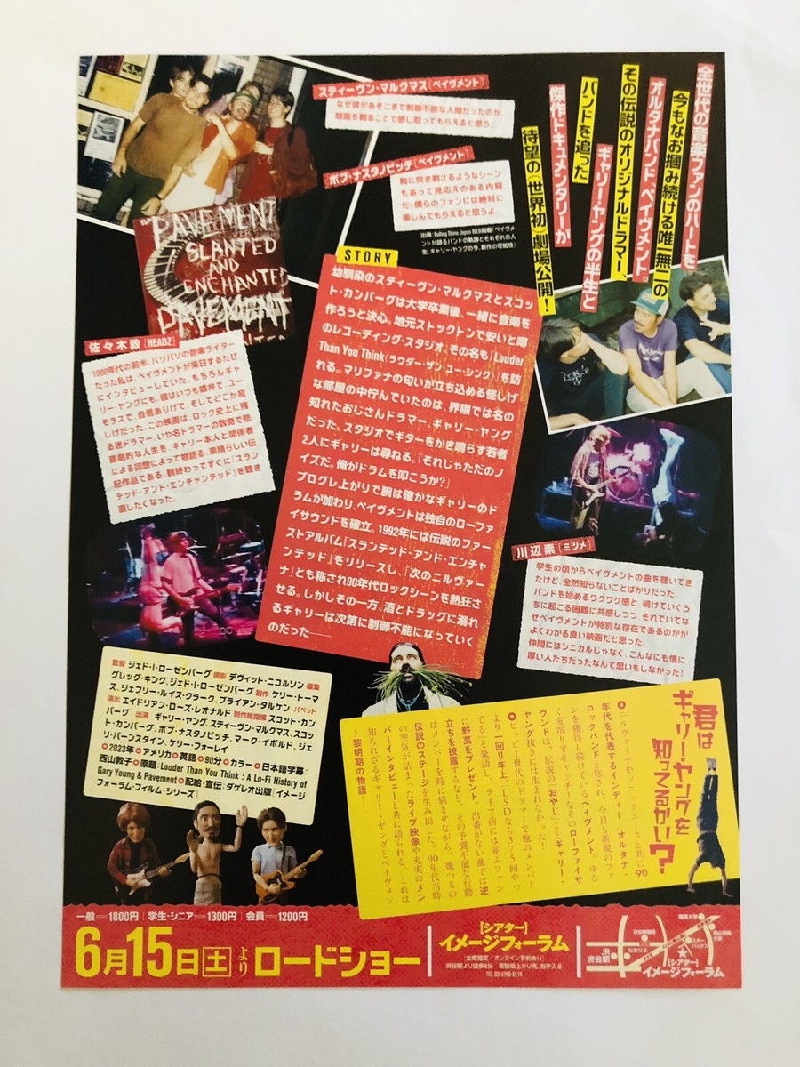 Louder Than You Think Gary Young Pavement Movie Flyer Mini