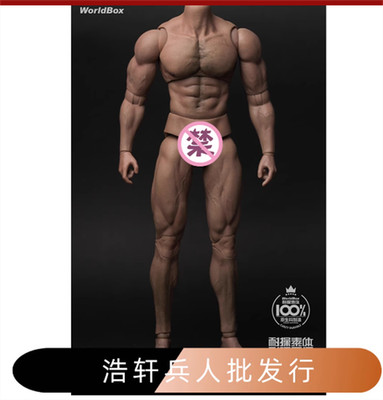 Worldbox AT027 Durable Body-ripped Body Male Figure fit Hot Toys 1/6 Phicen Head