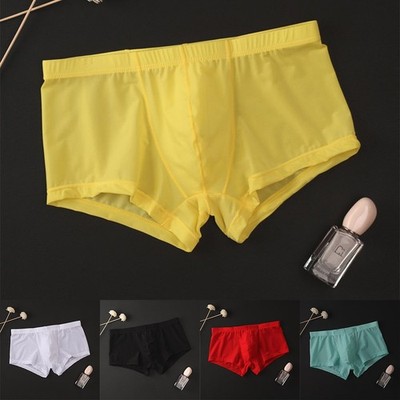 Sexy transparente Netz Unterwäsche Trunks für Männer dünne durchsichtige Box