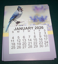 2026 CALENDAR Refrigerator MAGNET lt purple background Blue Jay 3.5x2.5 MONTHLY