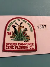 Boy Scout patch￼