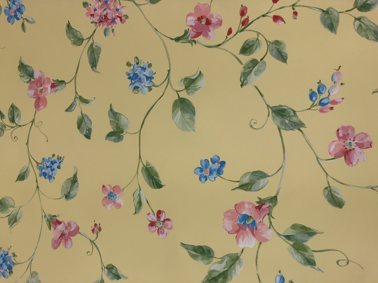 Waverly Wallpaper Closeouts