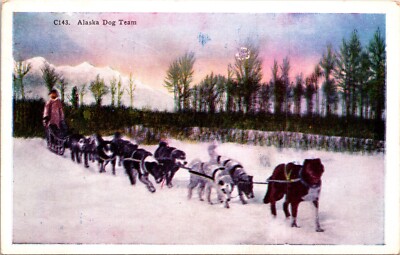Postcard Alaska Dog Team - Efficient Transportation - Posted Skagway AK 1947