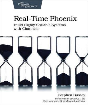 REAL TIME PHOENIX by Stephen Bussey Paperback Self Help Business