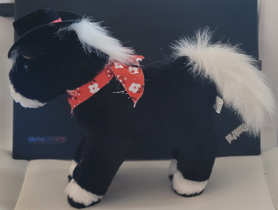 Cappello da cowboy pony nero nuovo senza etichette a batteria Larrys Western Shop