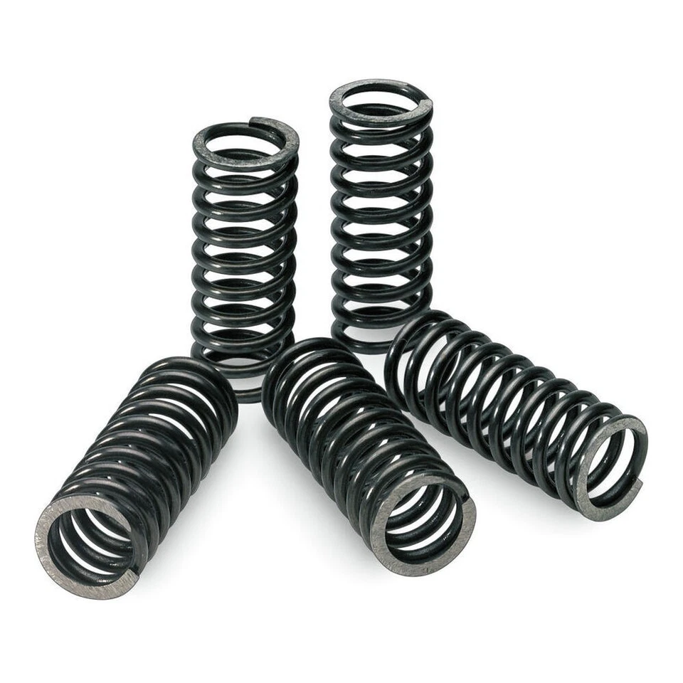 Juego de muelles de embrague Pro Circuit SPRINGS CLUTCH RMZ450 Foto 2 de 4