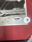 Joe Sewell Autographed Framed Picture PSA/DNA Yankees HOF — photo 2