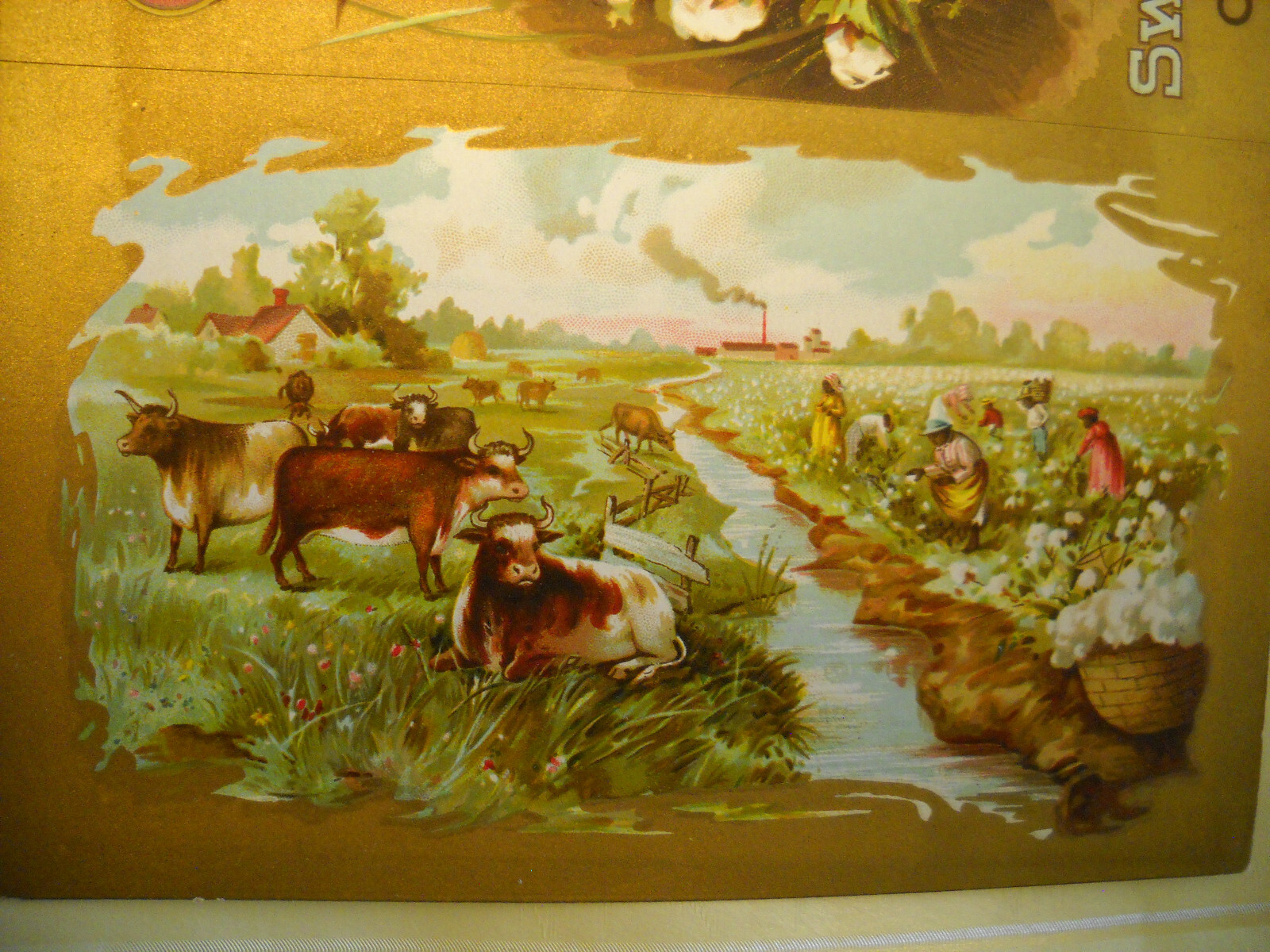 Picture 3 of 3