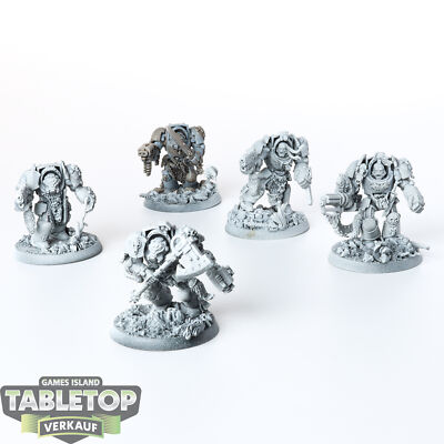 Space Wolves - 5x Wolf Guard Terminators - unbemalt