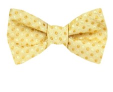 Men's 100 Dot Silk Designer Self Tie Woven Bowtie- NWT