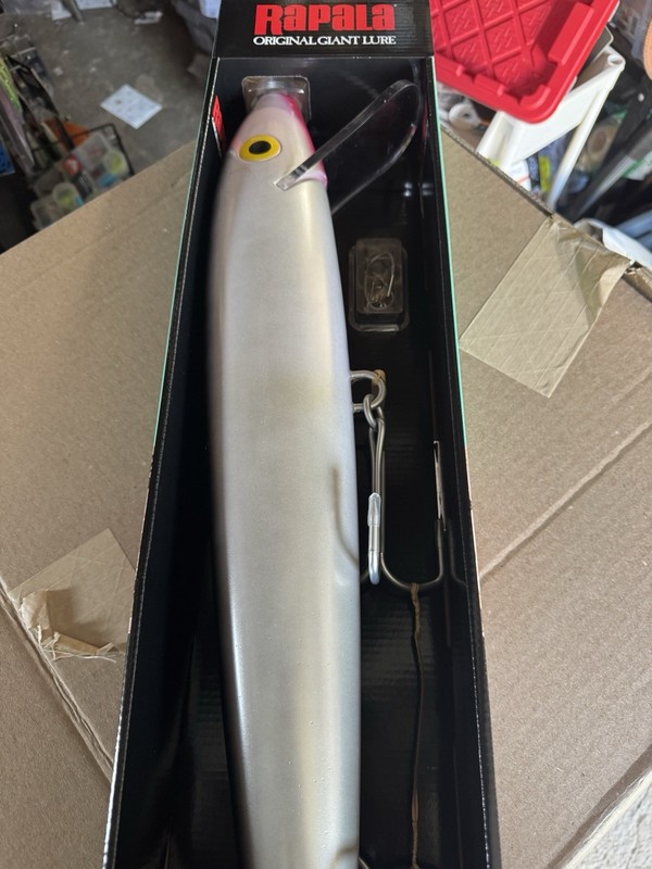 Rapala RGL Giant lure FT SB USF 24.5 inch Silver