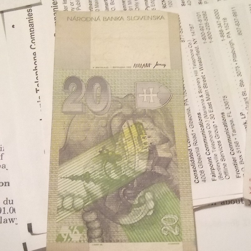 Slovakia 20 Slovenských Korún Banknote 1993 Ungraded Uncertified