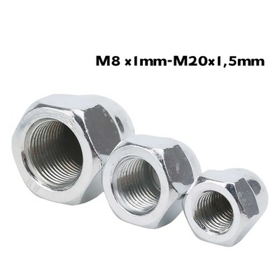 Feine Teilung Hutmutter Edelstahl A2 Rostfrei Sechskant Hutmuttern M8 x M20